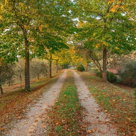 Agriturismo Podere Toscano Séjour à la ferme